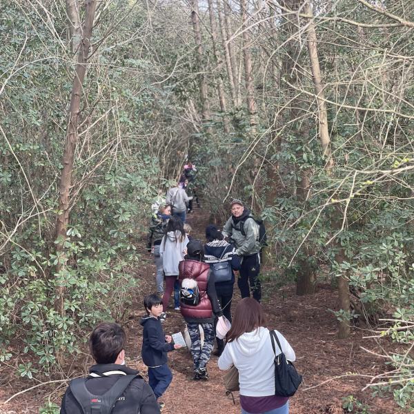 Hiking